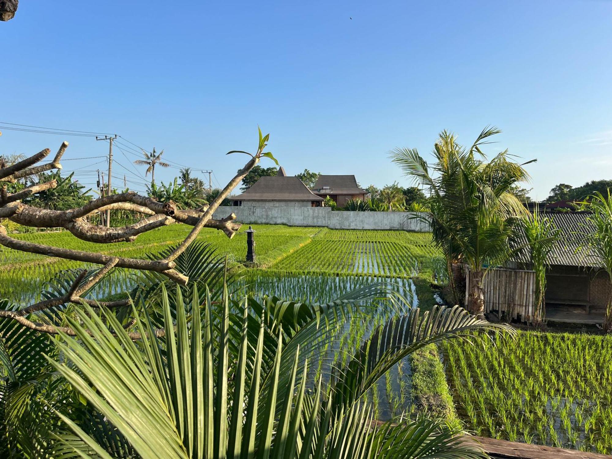 Unit Space Village Canggu Buitenkant foto
